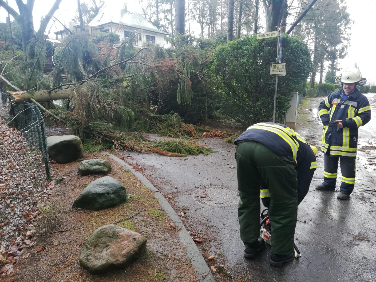 Baum auf Straße Baum auf Straße