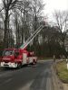 Droht zu Fallen Baum