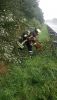 Droht zu Fallen Baum